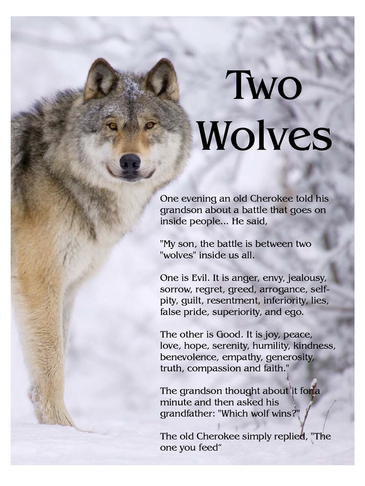 Two Wolves New Earth Energies two-wolves-new-earth-energies
